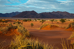 Namibia Vigorously Develops Energy
