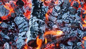 U.S. Coal Production Expected to Fall 17% in Fourth Quarter